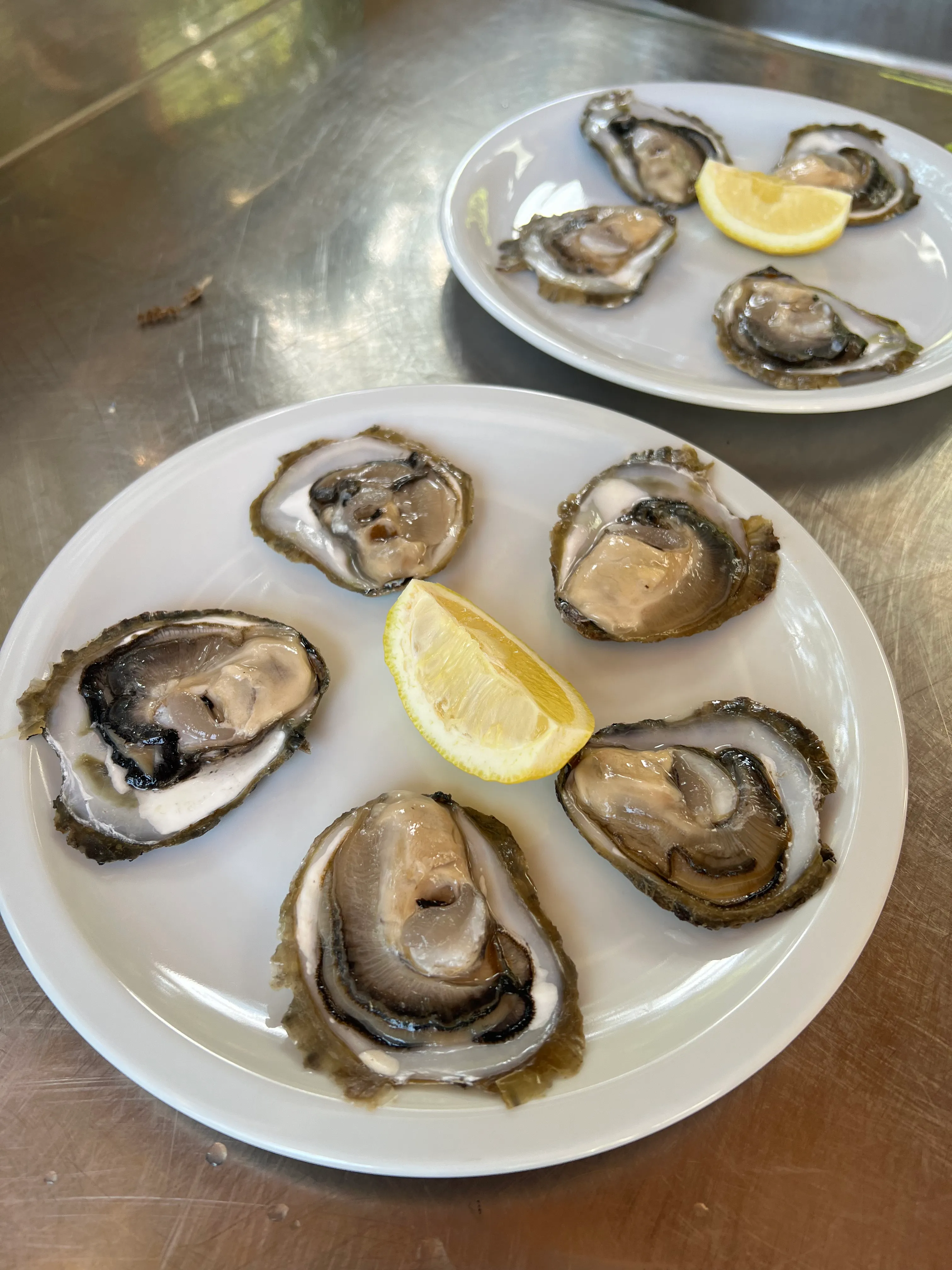 Fresh oysters on plate.jpg